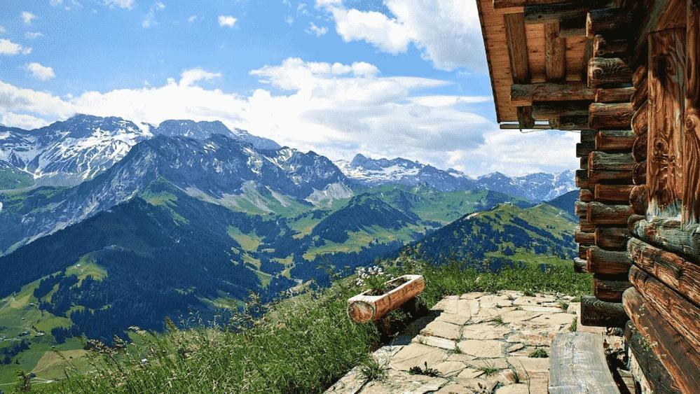 Edelweiss 4 Zi Ferienwohnung In Landhaus Frutigen Exterior foto